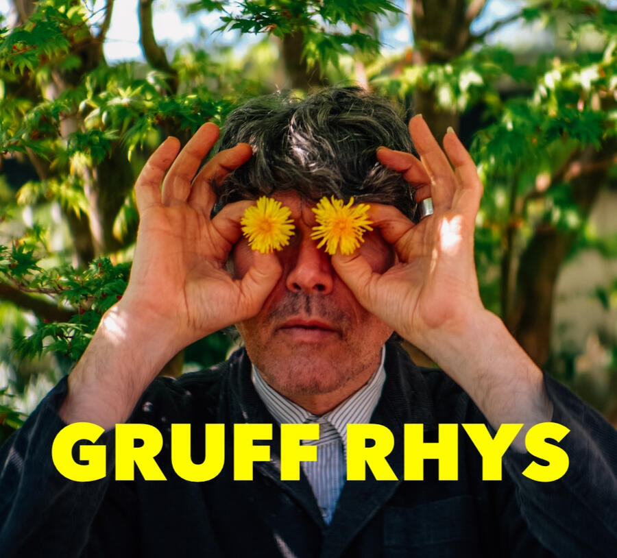 Gruff Rhys